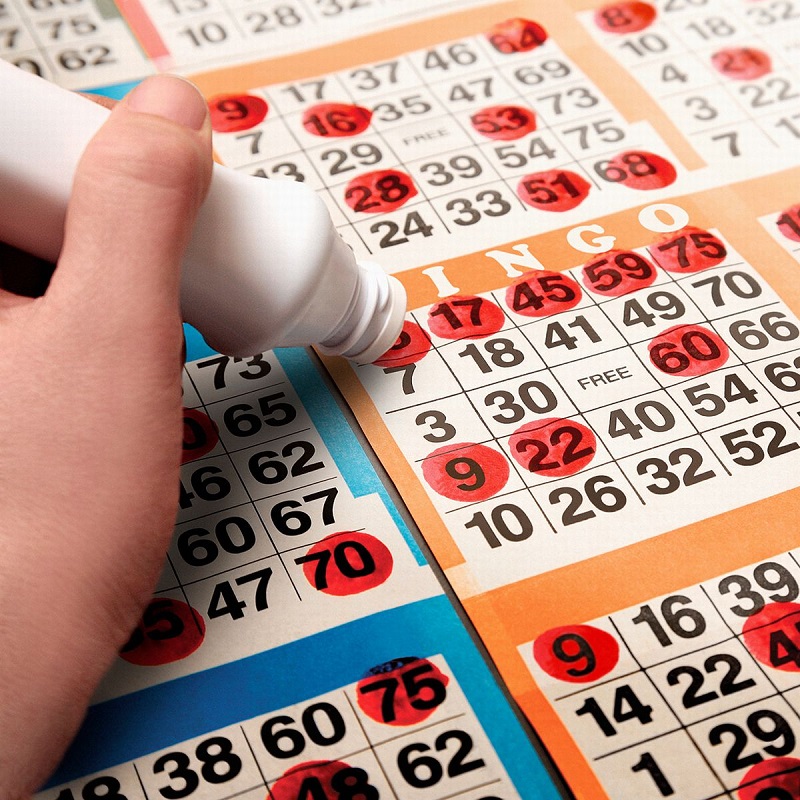 You’ll Be Able To Freak With Bingo Free Game Online